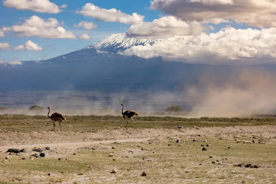 The African Landscapes Where Technology Was Born (Image Credits: Pexels)