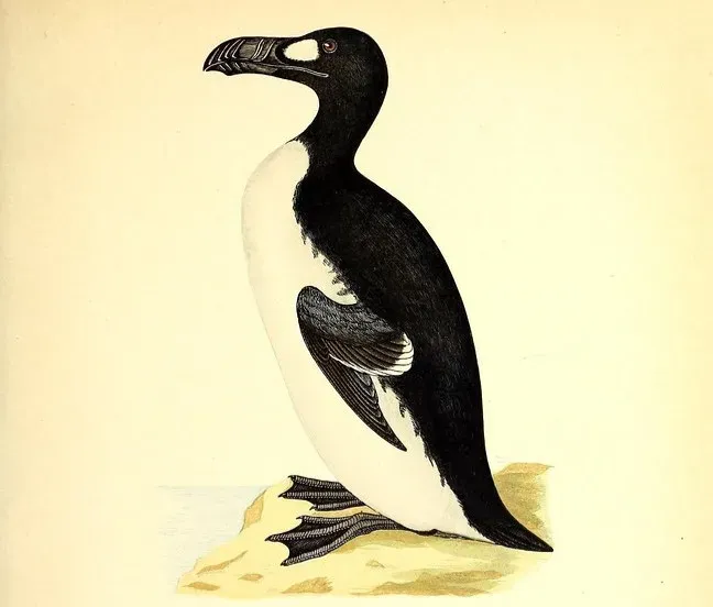 #6 - It Dodged Orcas, Polar Bears, and Eagles for Generations (Image Credits: Flickr)