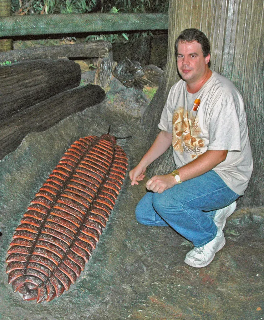 Arthropleura: The Giant Millipede That Would Have Made You Run Screaming (James St. John, Flickr, CC BY 2.0)