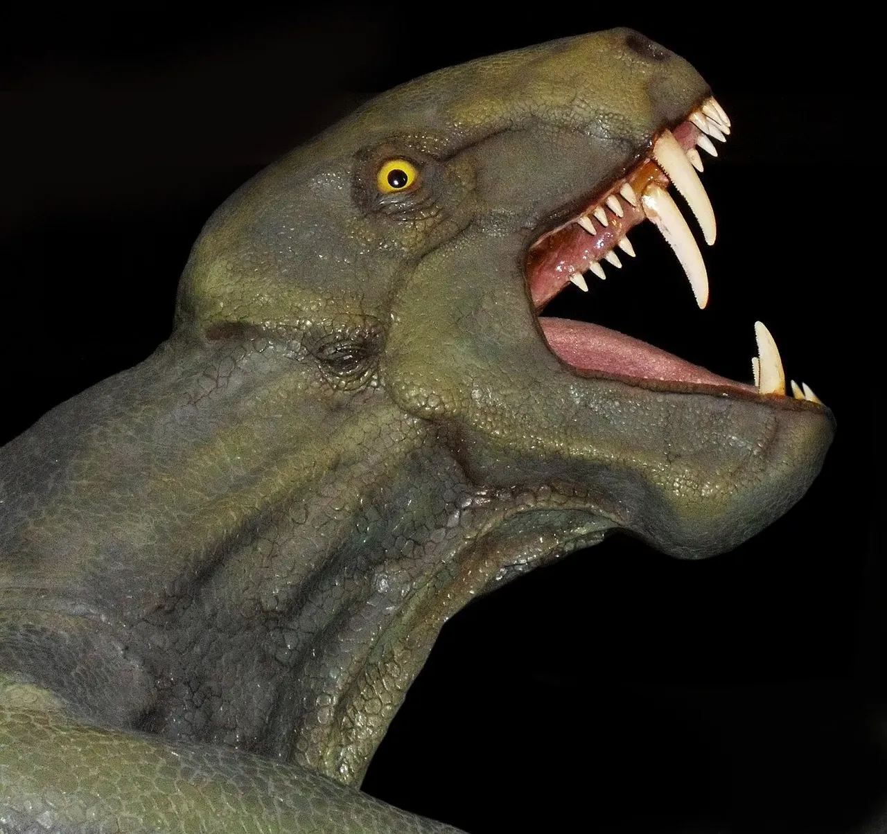 Conclusion: The T-Rex Was Just the Beginning (Image Credits: Pixabay)