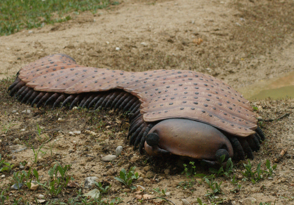 Arthropleura: The Giant Millipede That Terrorized Forest Floors (Image Credits: Flickr)
