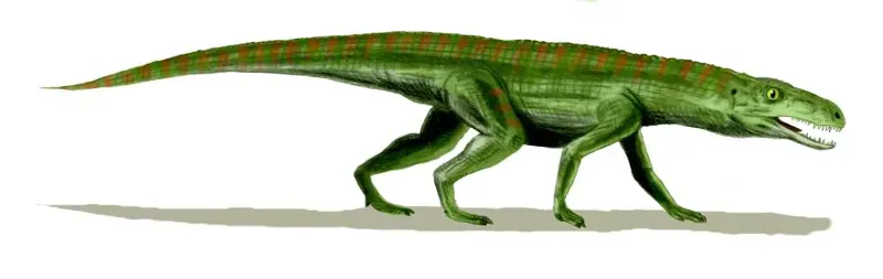 Meet the “Fast Crocs”: Terrestrial Hunters on Long Legs (By Nobu Tamura (http://spinops.blogspot.com), CC BY 2.5)