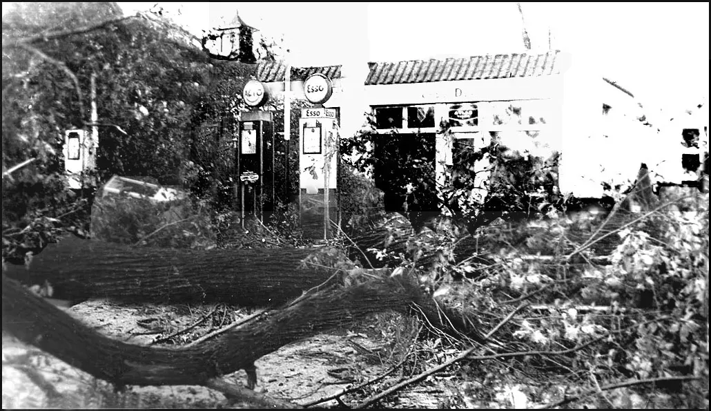 #4 - The Great New England Hurricane That Caught an Entire Region Unprepared (1938) (Hurricane and Flood of 1938, Keene NH - Tree Damage, No restrictions)