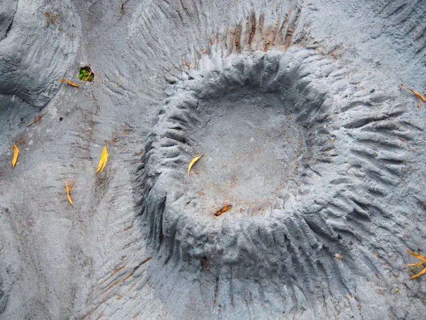 What This Discovery Says About Earth’s Vulnerability Today (Image Credits: Pexels)
