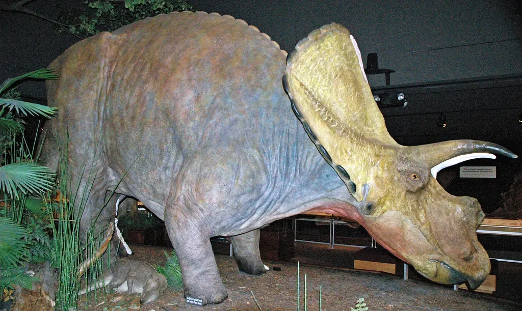 #8 - It Might Have Been the Same Animal as Torosaurus (James St. John, Flickr, CC BY 2.0)