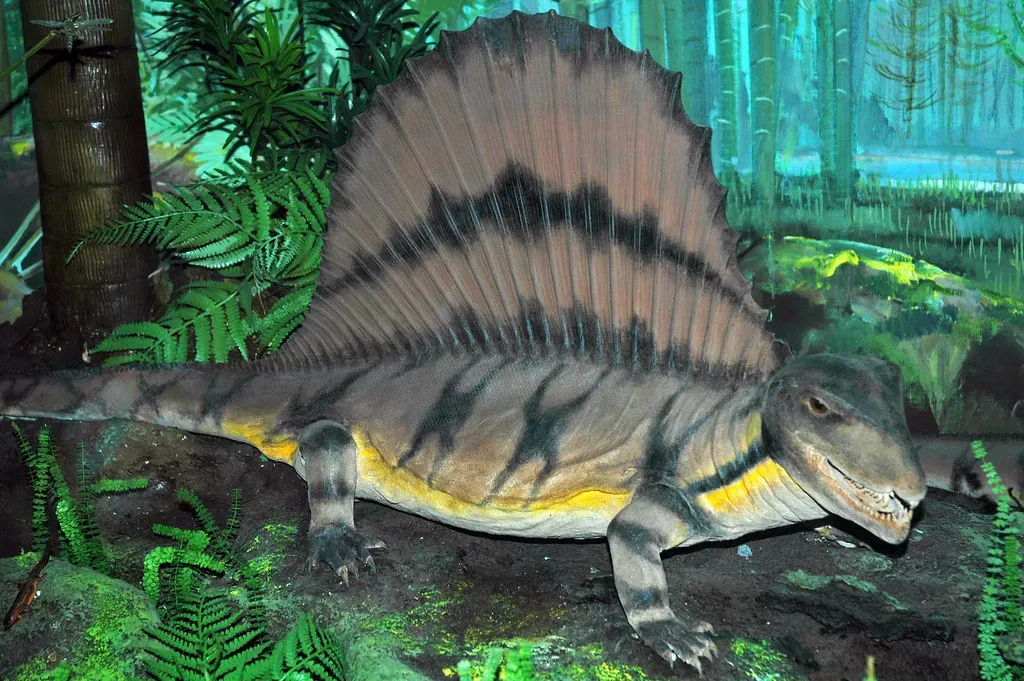 Dimetrodon: The Sailback That Ruled Before Mammals (Image Credits: Flickr)