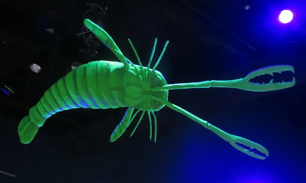 Gemini – The Giant Sea Scorpion That Can’t Predict Your Next Move (edenpictures, Flickr, CC BY 2.0)