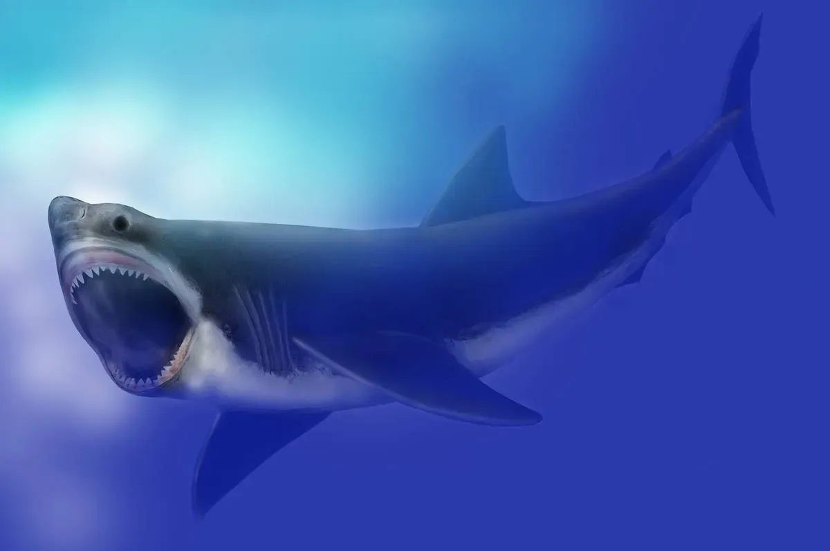 #1 - Megalodon, the Shark That Just Got Bigger (Again) (By Mary Parrish, Smithsonian, National Museum of Natural History, Public domain)