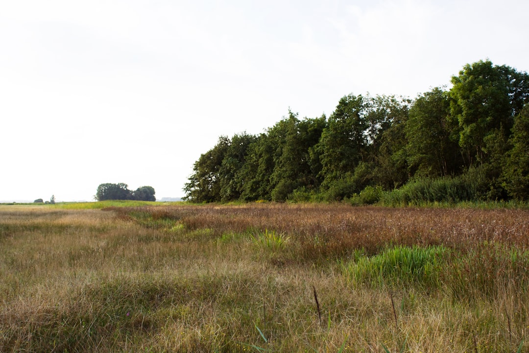 Libra: The Balanced Transition Zones (Image Credits: Unsplash)