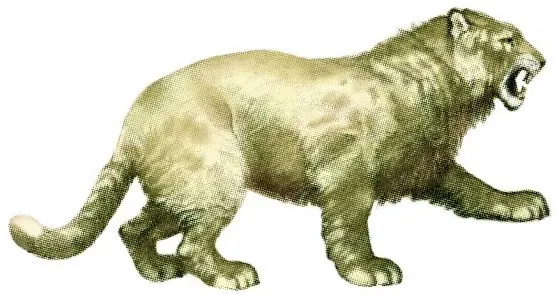 #11 - The Ice Age Lions That Didn't Have Manes ([1], Public domain)