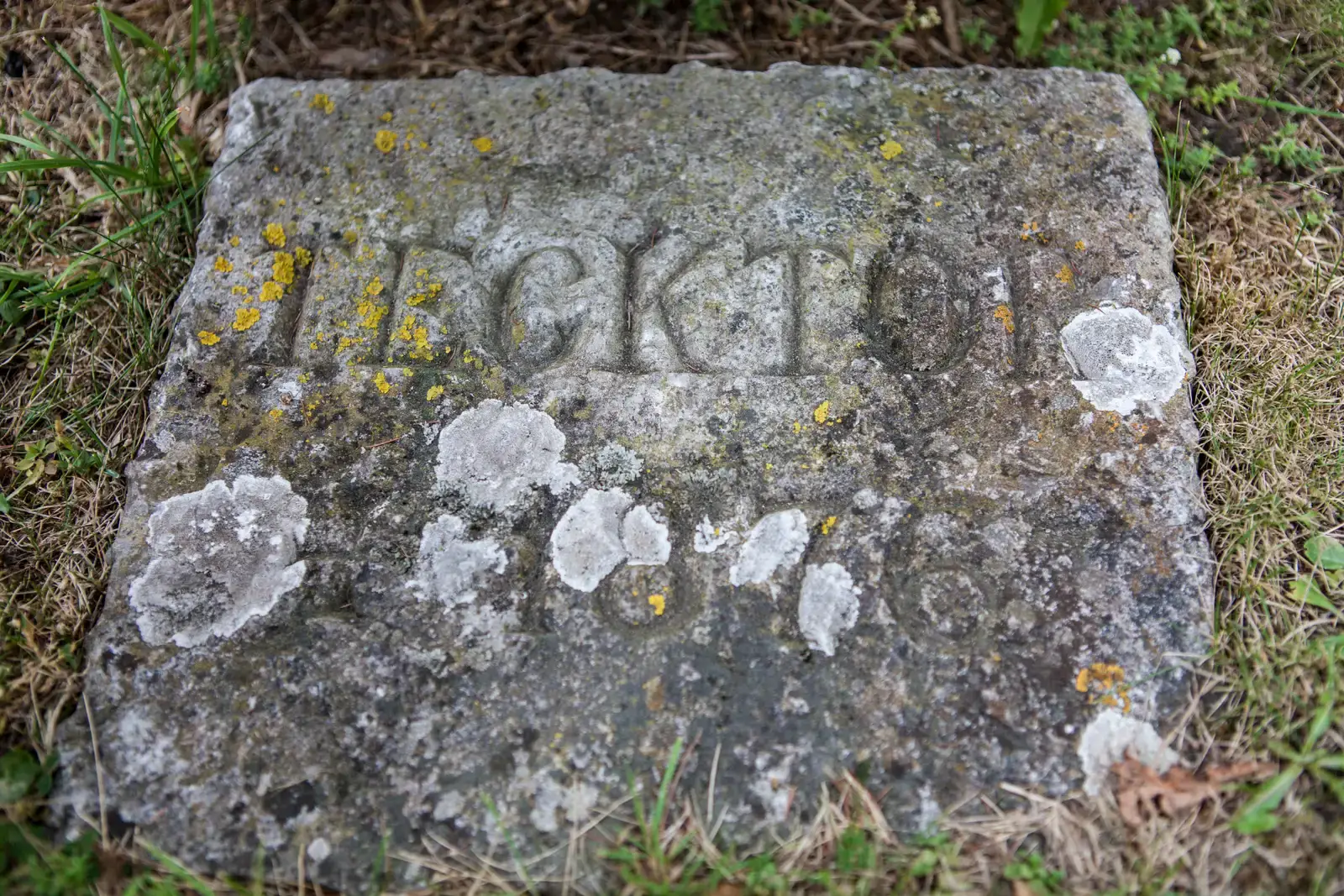 #13: Airborne Spores, Pollen, and Dust – The Quiet Coating (By Karl Macklin, CC BY-SA 4.0)