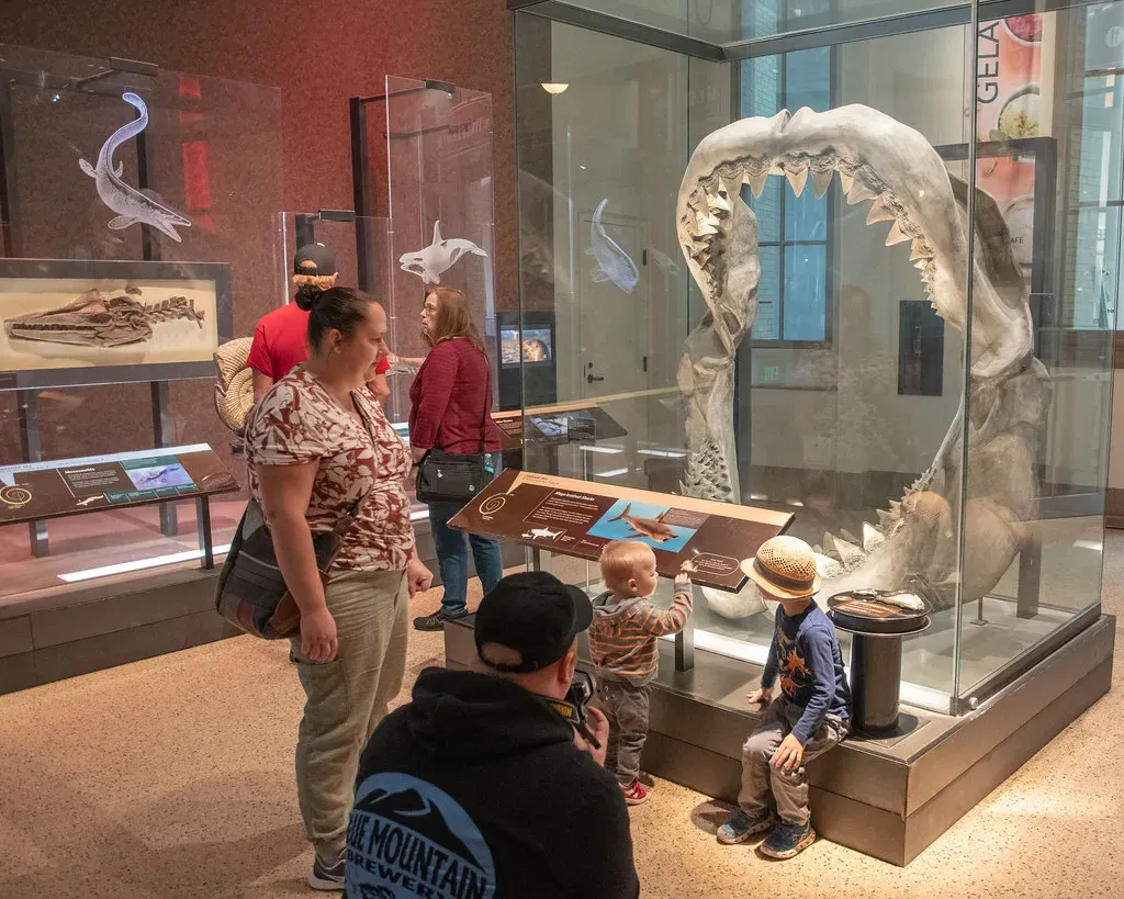 Conclusion: The Measure of True Dominance (Image Credits: Flickr)