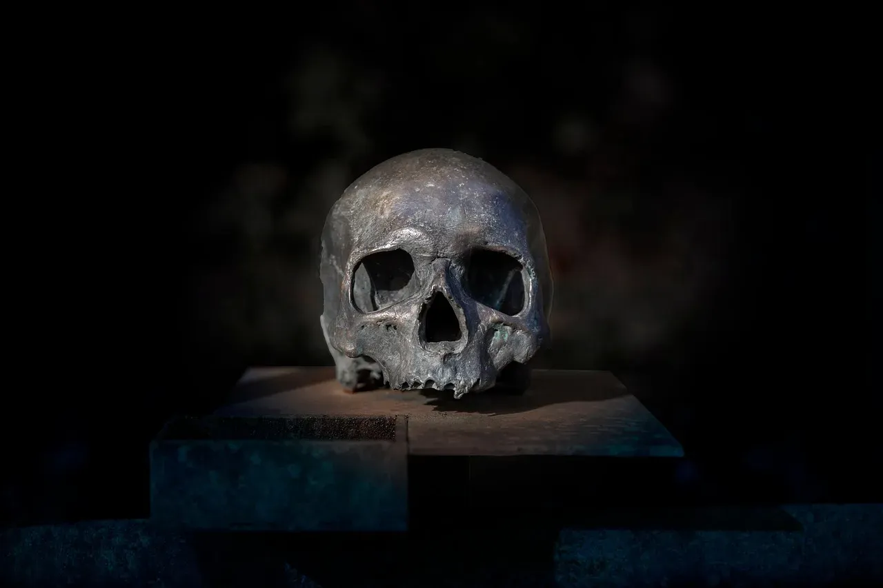 #2 - The Hominin Skull That Didn't Fit Any Family Tree (Image Credits: Pixabay)