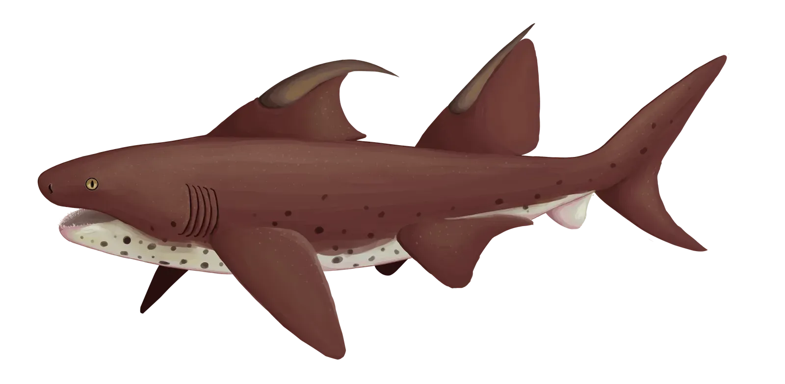 A Nickname Fit for a Monster (Image Credits: Wikimedia)