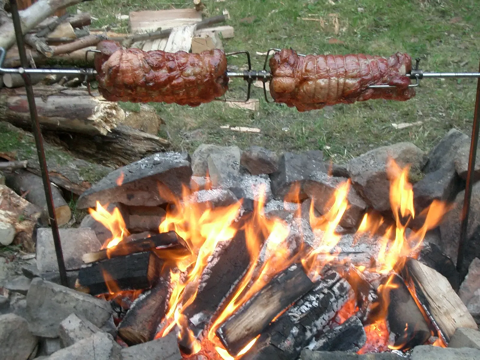 From Raw To Cooked: Why Heat Turned Food Into Power (Aufgenommen Somemr 2003, CC BY-SA 3.0)