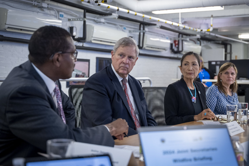 Leo: The Resilient Leader (Image Credits: Flickr)