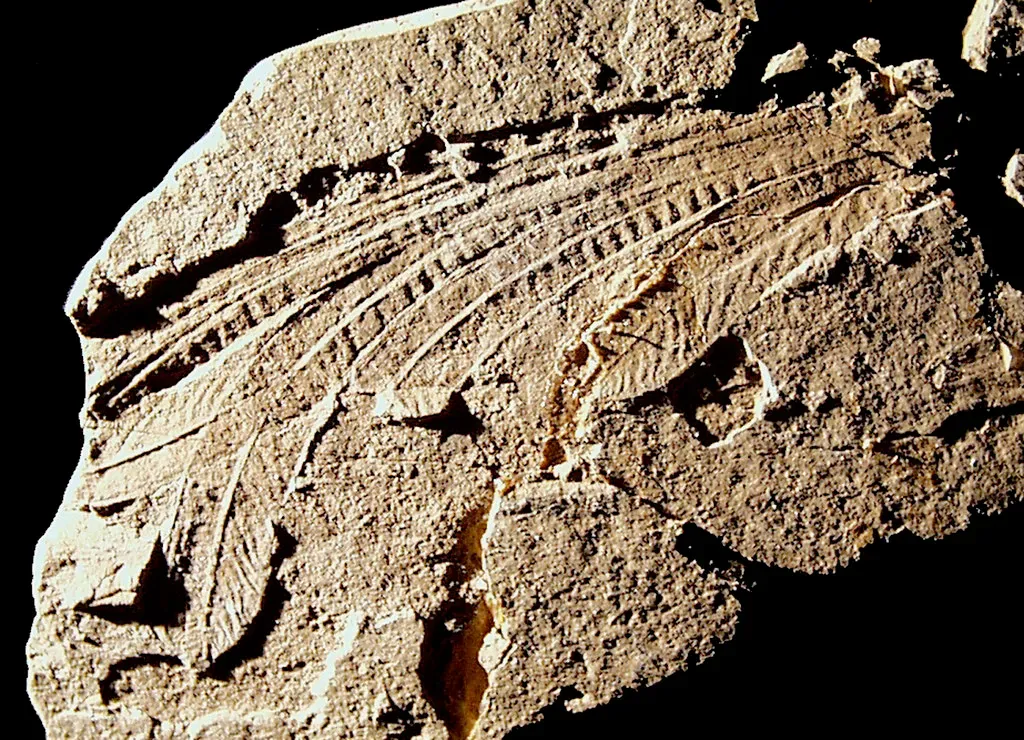 #5 - Longisquama: The Reptile That Might Have Grown Feathers Before Birds Existed (Oregon State University, Flickr, CC BY-SA 2.0)