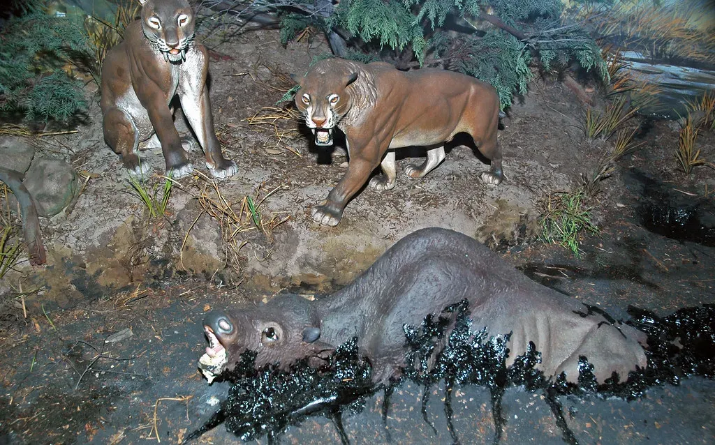 They Fell Victim to the Tar Pits in Droves Because They Couldn't Resist Easy Prey (Image Credits: Flickr)