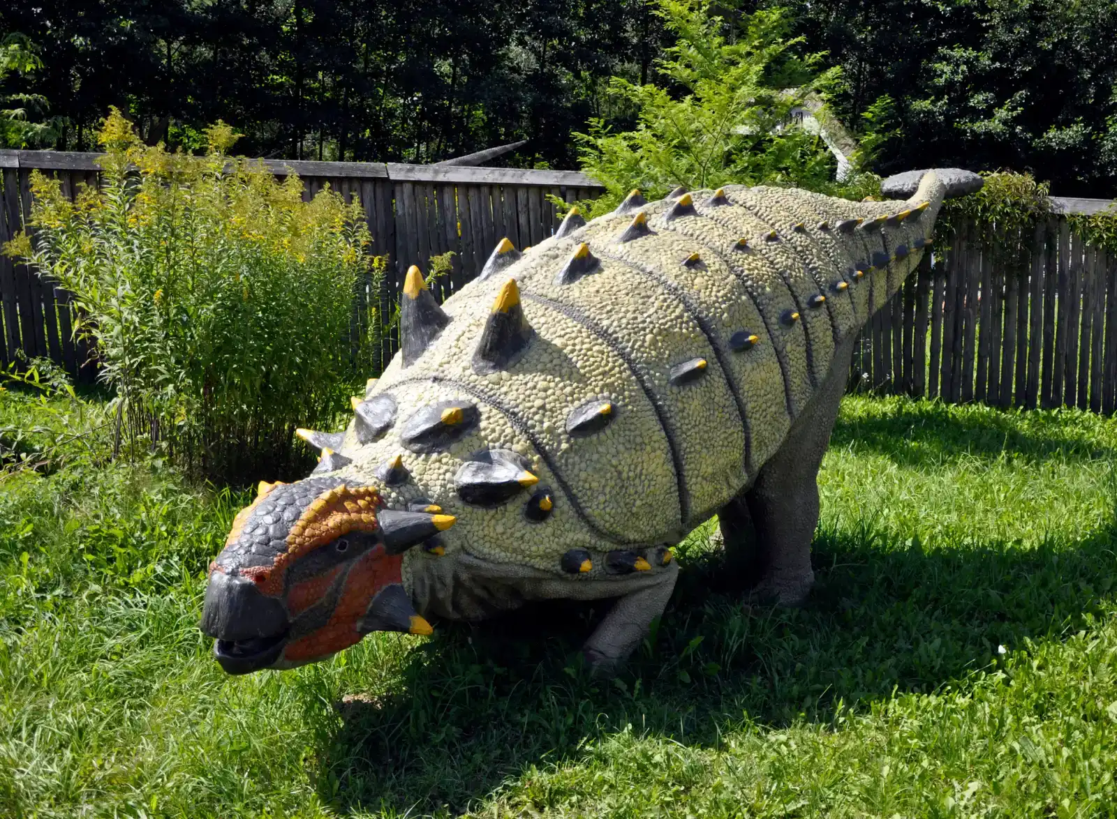Euoplocephalus: The Spiked Battering Ram of the Late Cretaceous (By Aneta Leszkiewicz (Inetta), CC BY-SA 3.0)