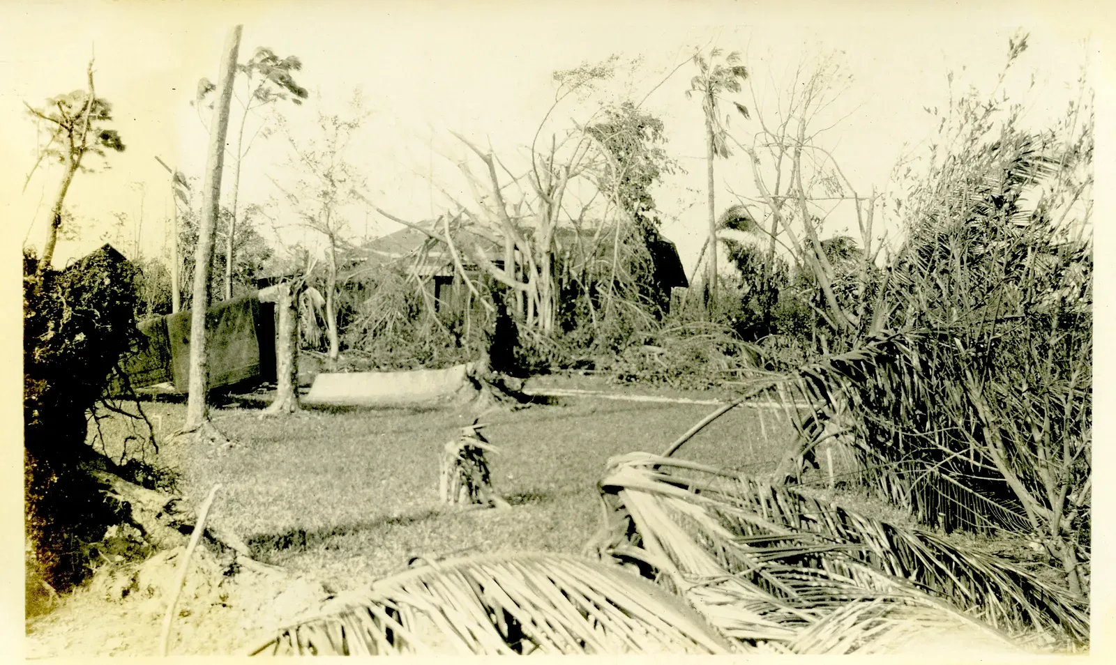 #2 - The Great Miami Hurricane That Exposed a Boom-Town Lie (1926) (By Richard, CC BY 2.0)