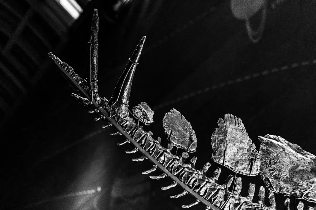 7. Bone Growth Rings: Age and Life History, Hidden Inside (Image Credits: Unsplash)