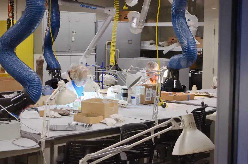 What New Technology and Unexplored Regions Promise (Scarlet Sappho, Flickr, CC BY-SA 2.0)