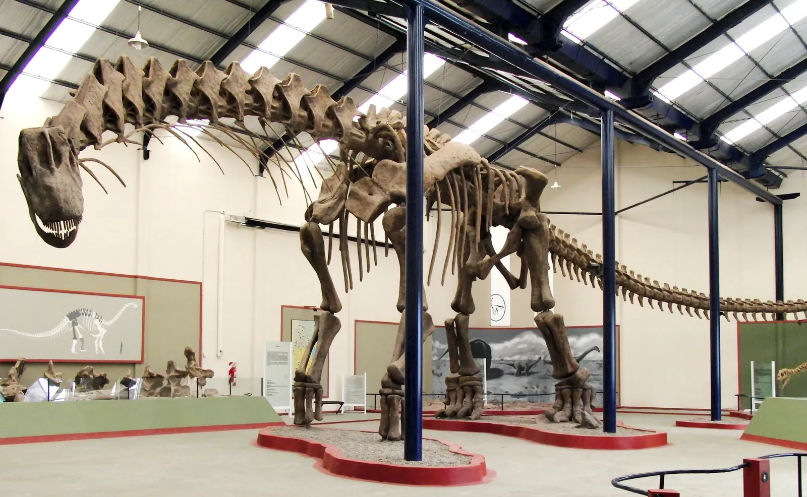 #4 - It Wasn't Even Close to the Biggest Dinosaur (By William Irvin Sellers, Lee Margetts, Rodolfo Aníbal Coria, Phillip Lars Manning, CC BY 2.5)