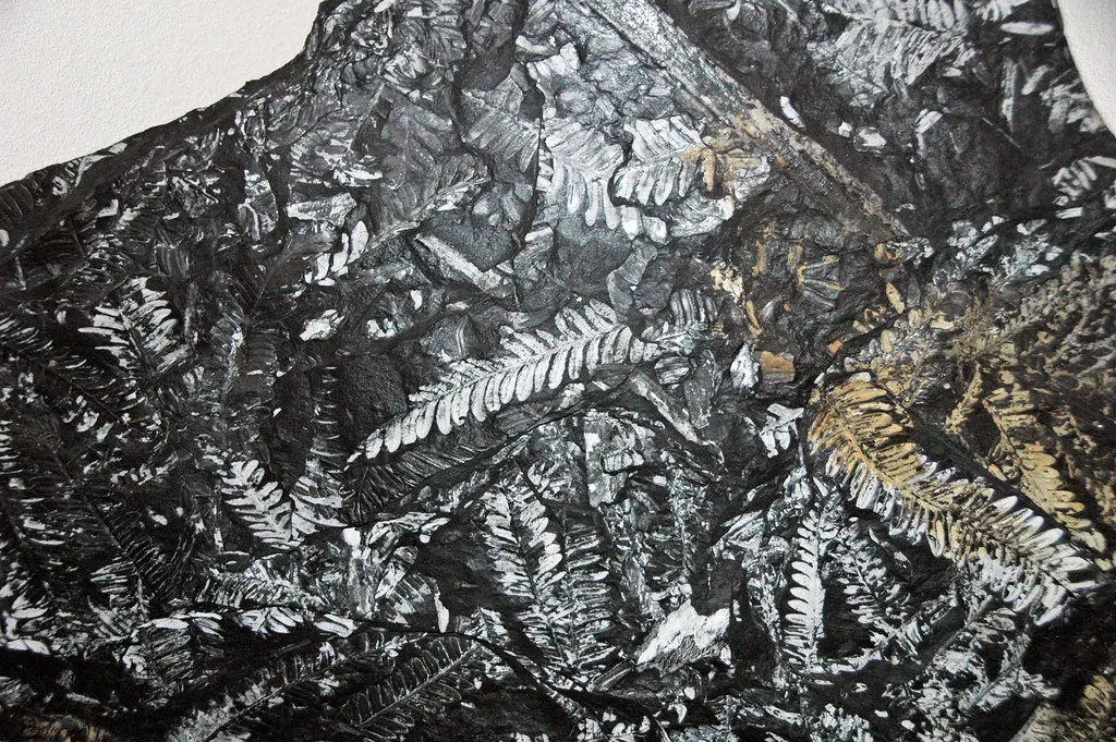 From Monsters to Memories (Image Credits: Flickr)