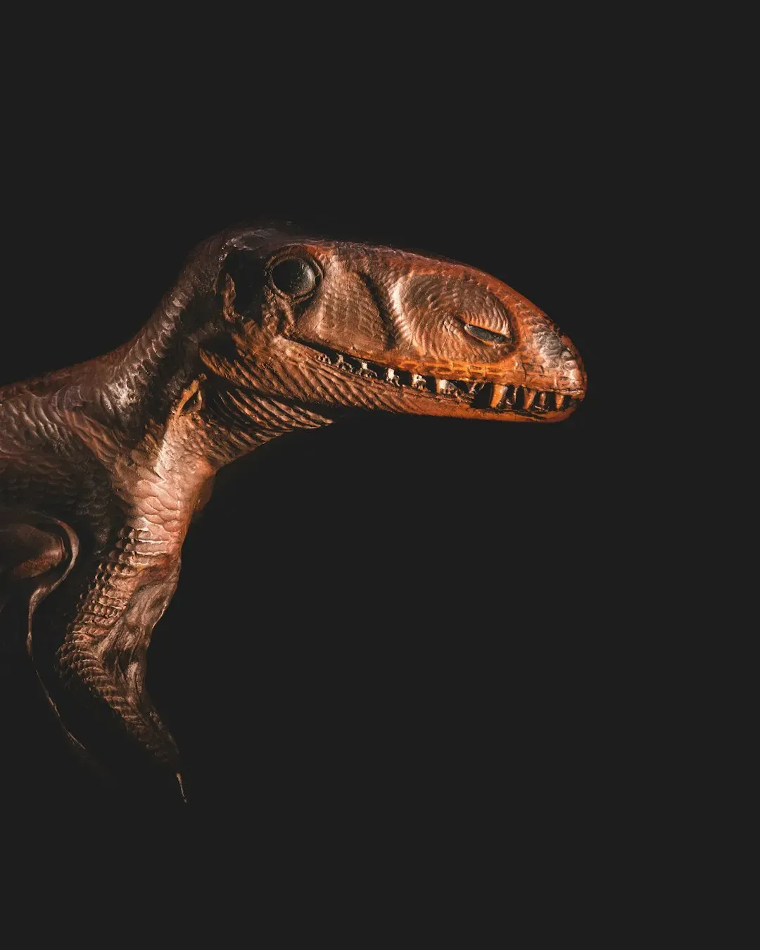 The Silent Dinosaur Hypothesis: What If They Made No Vocal Sounds At All? (Image Credits: Unsplash)
