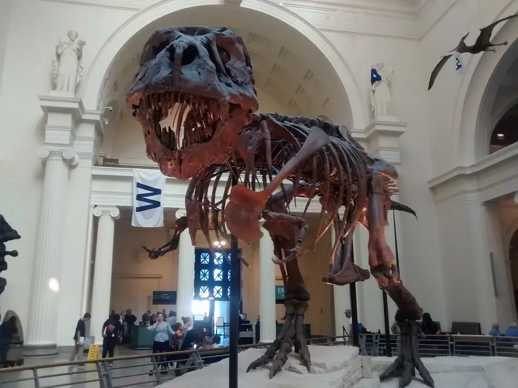 The Verdict: The Real Animal Deserves Better (Image Credits: Flickr)