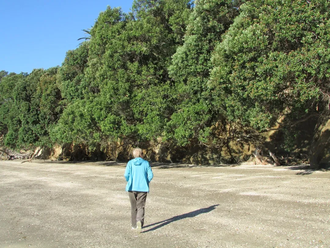 Conclusion (Image Credits: Unsplash)