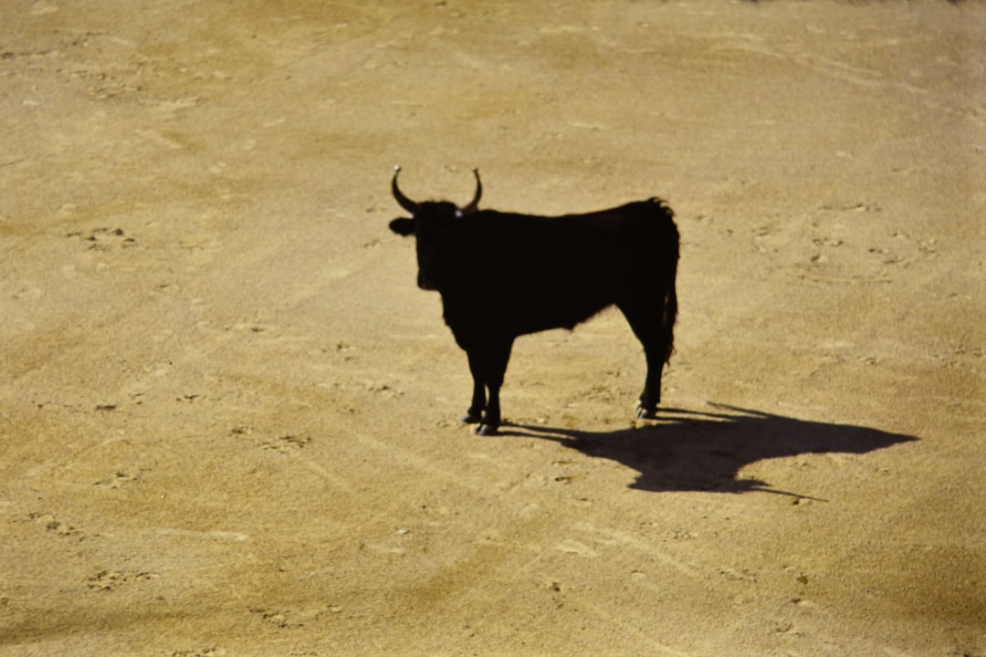 Taurus: The Terror of Unexpected Change (Image Credits: Unsplash)