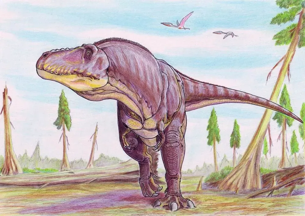 #3 - Possible Earlier Large Tyrannosaurids Existed (Transferred from en.wikipedia to Commons., CC BY-SA 3.0)