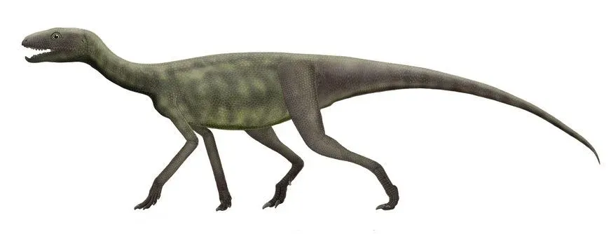 Sharing the Stage with Early Dinosaurs (By Szymon Górnicki, CC BY-SA 4.0)