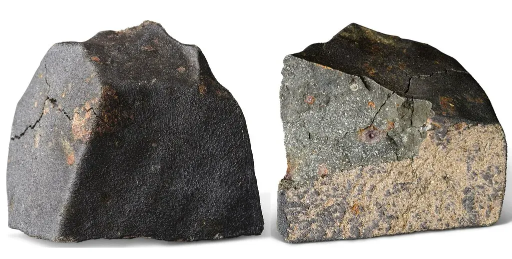 6. Panspermia: We Are All Cosmic Immigrants (jurvetson, Flickr, CC BY 2.0)