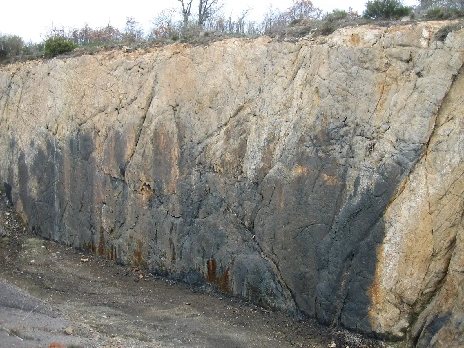 #12 - The Coal Forests That Wouldn't Decompose (By Shalbat, CC BY-SA 3.0)