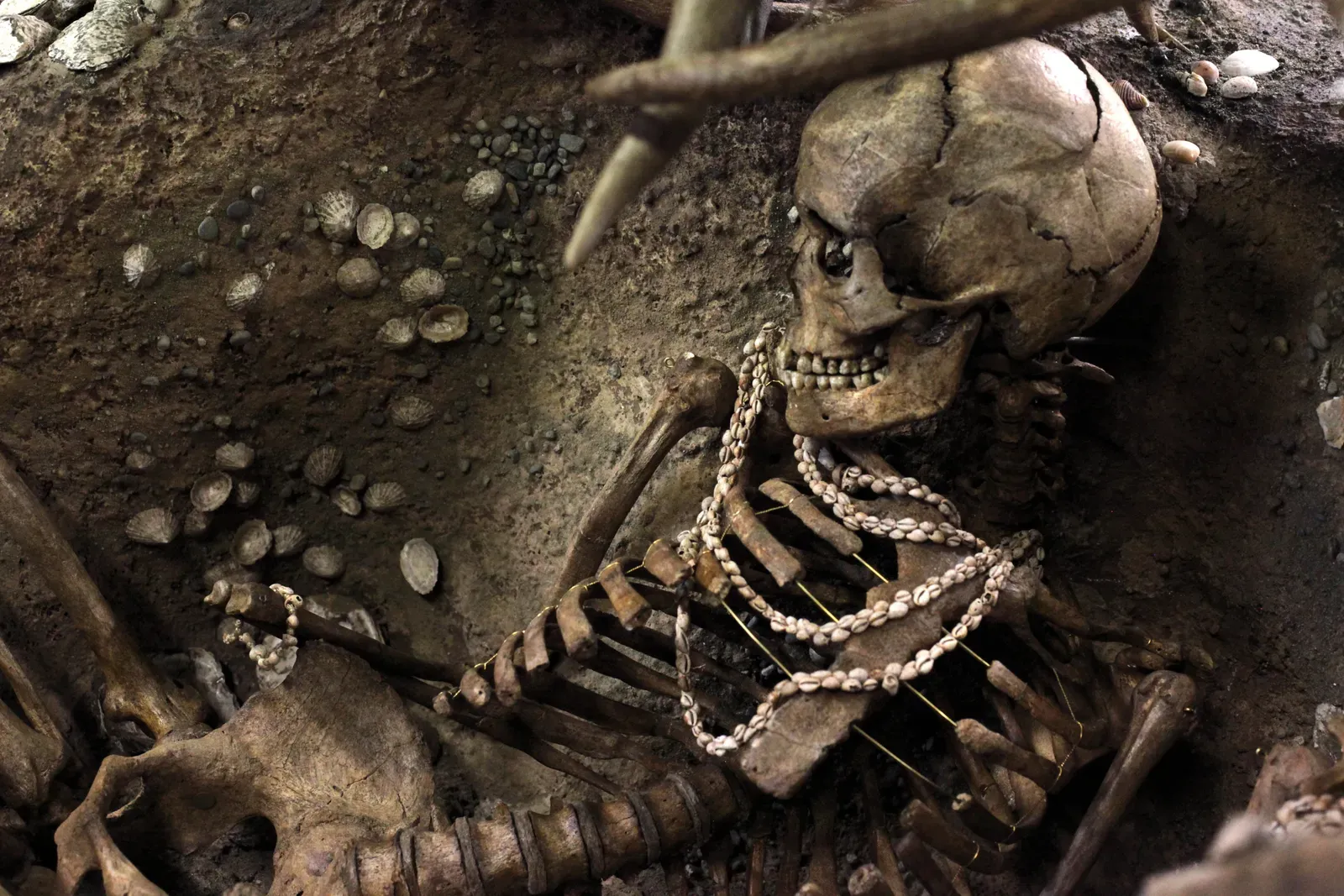#1 - The Most Lavish Ice Age Burial Ever Found Belonged to a Possible Murder Victim (By Rama, commissioned by Wikimédia France, CC BY-SA 2.0 fr)