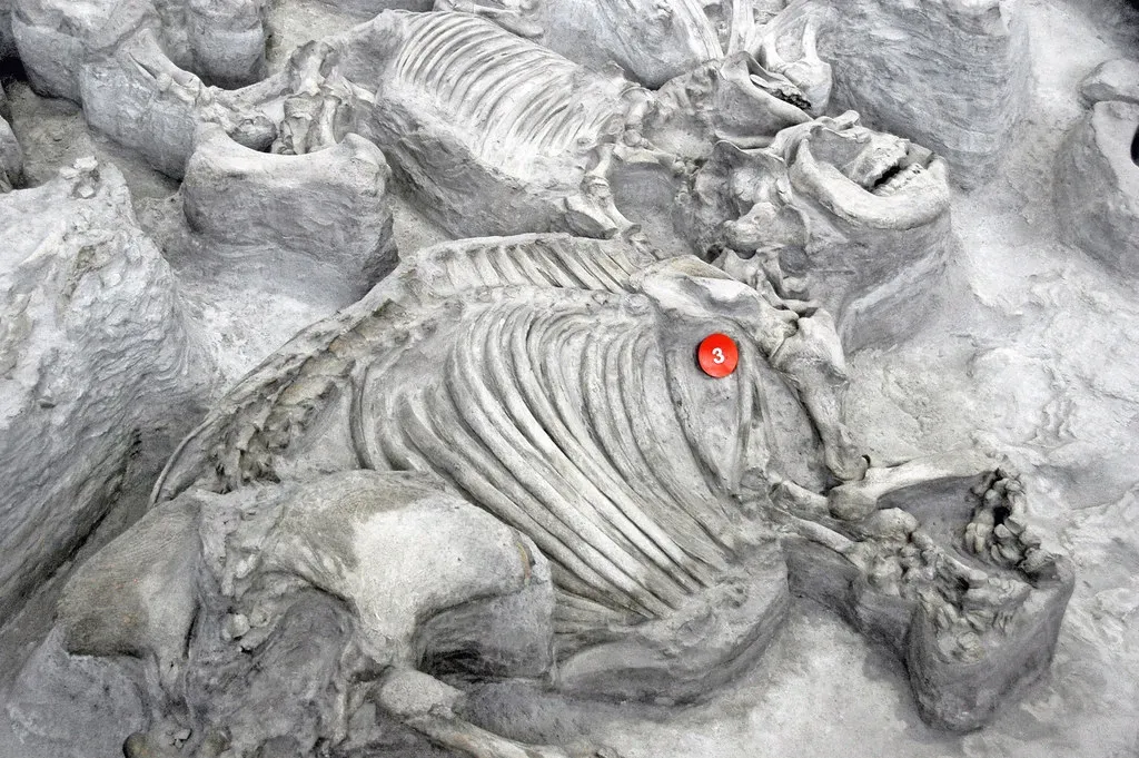 7. Ashfall Fossil Beds State Historical Park, Nebraska (James St. John, Flickr, CC BY 2.0)