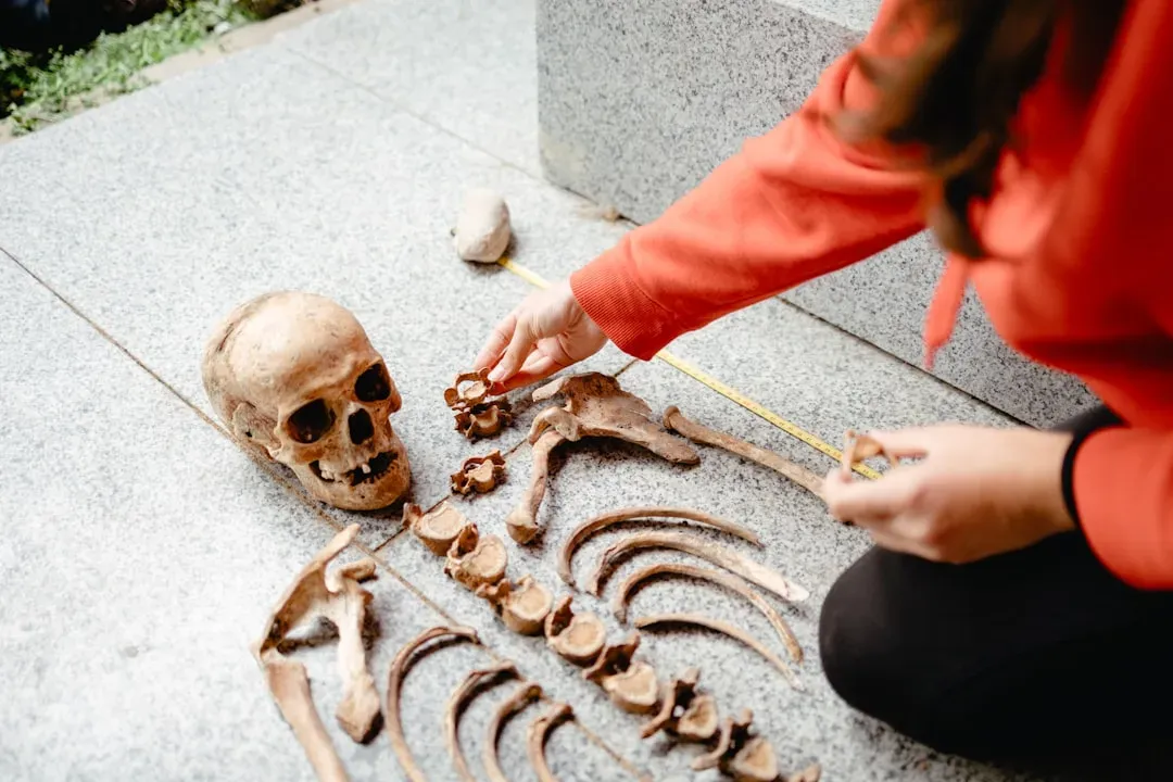 Conclusion: Why These Ancient Lives Still Matter (Image Credits: Unsplash)