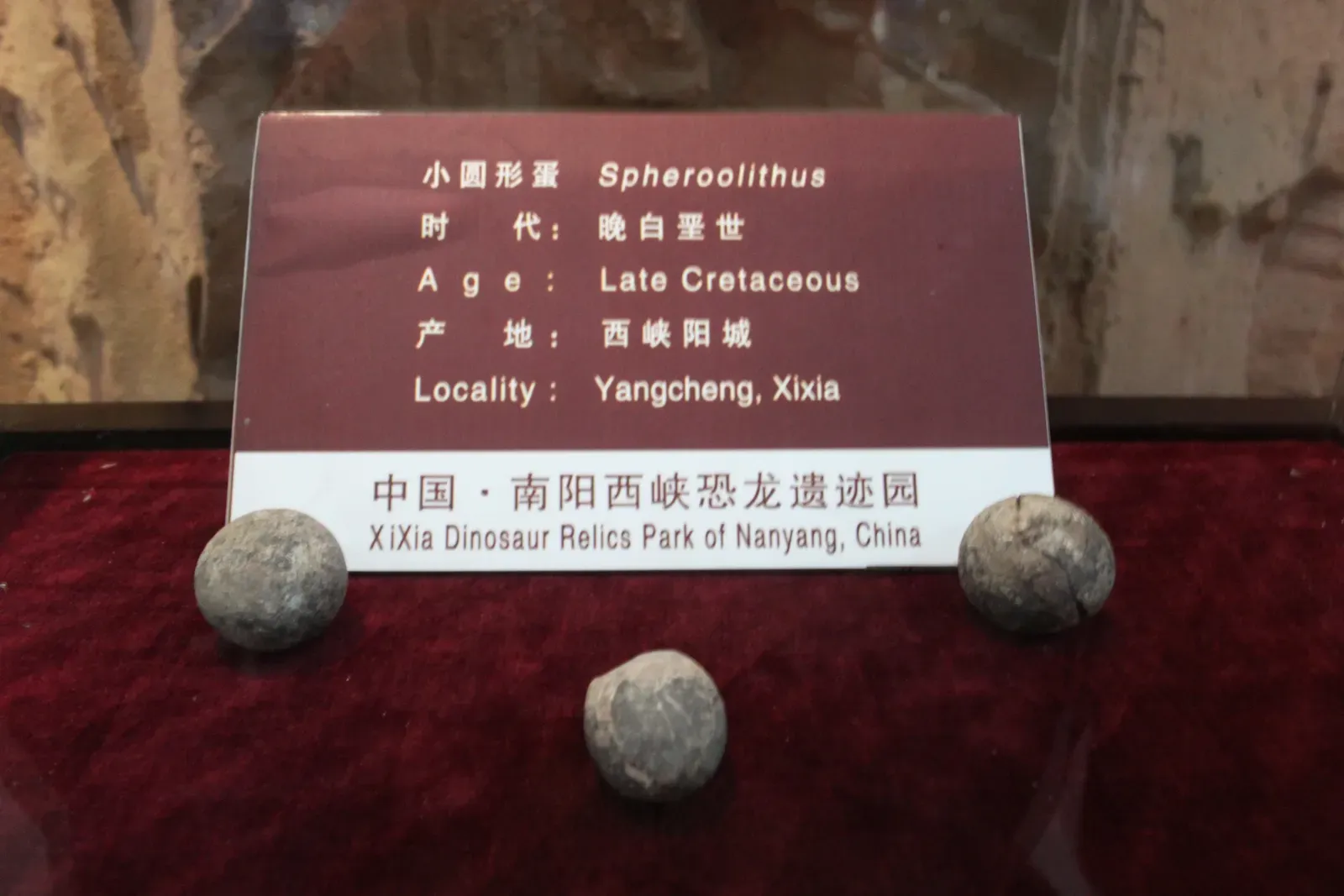 1. Dinosaur Eggs Were Smaller And More Fragile Than You Probably Imagine (By Gary Todd, CC0)