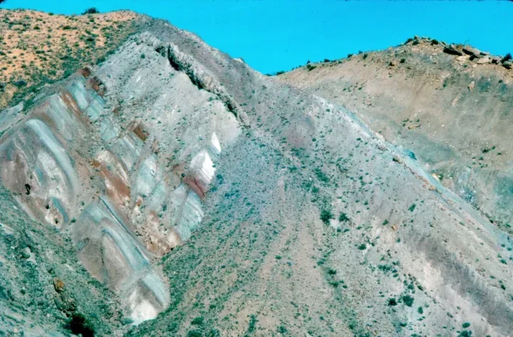 Morrison Formation: The World's Most Fertile Dinosaur Graveyard (Image Credits: Wikimedia)