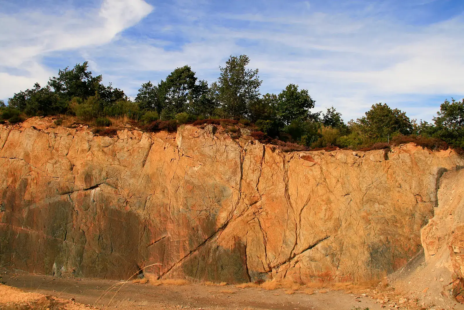 Understanding Prehistoric Ecosystems and Biodiversity (Image Credits: Wikimedia)