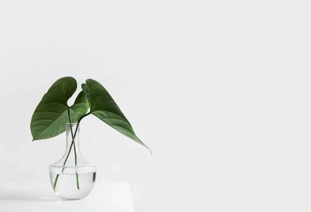 Are Plants, Single Cells, Or The Whole Universe Conscious? (Image Credits: Unsplash)