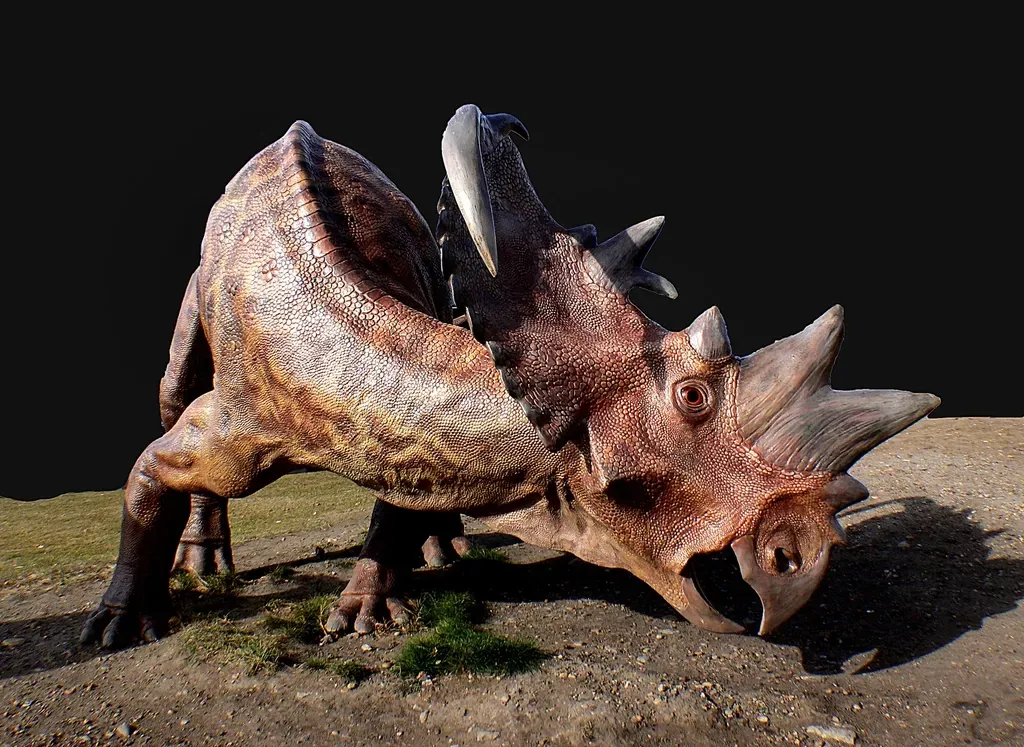 Conclusion (Image Credits: Rawpixel)