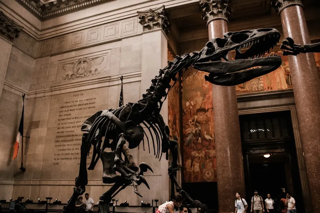 Scaling, distortion, and the trouble with mounting real bones (Image Credits: Unsplash)