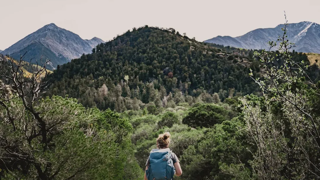 Sagittarius – The Explorer, Wanderer, and Wisdom Seeker (Image Credits: Unsplash)