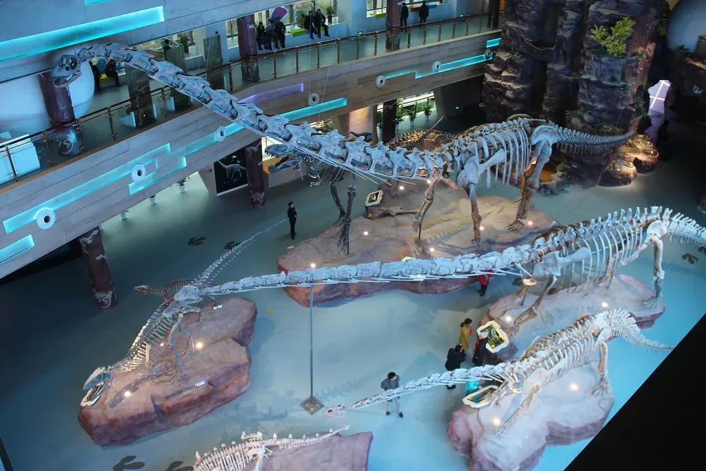 5. Rapid Growth Rates and Bone Histology (Image Credits: Flickr)