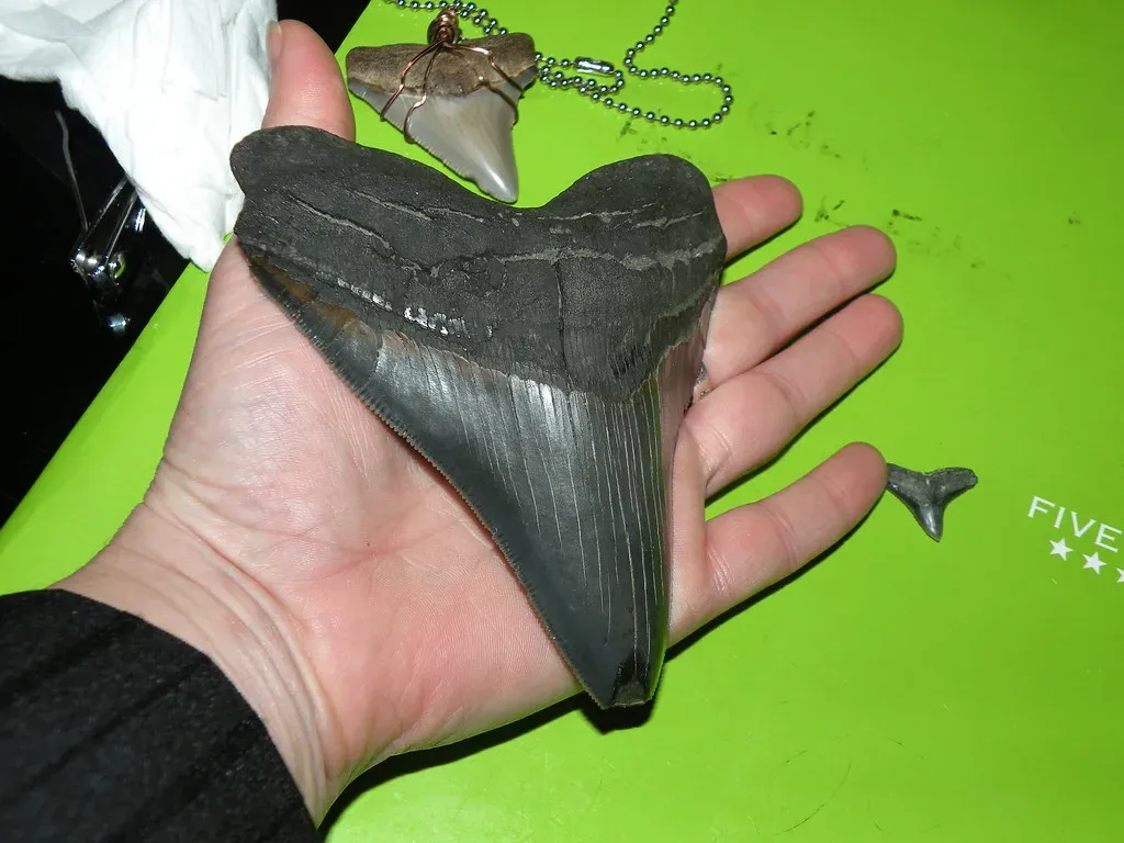 Conclusion (MyXscape, Flickr, CC BY 2.0)