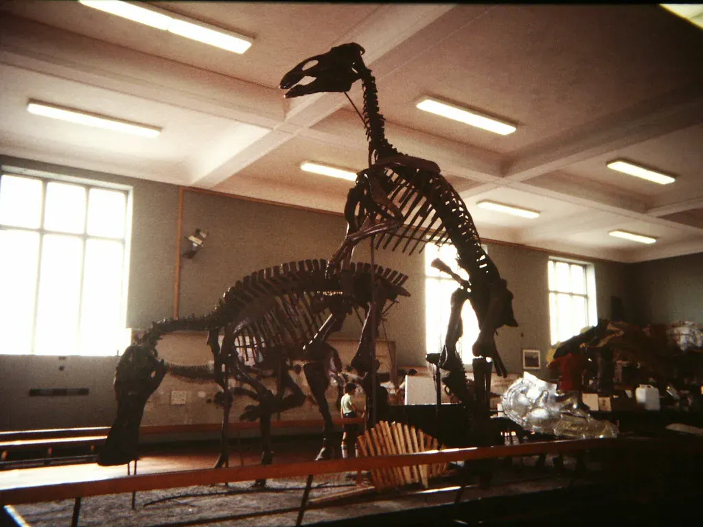 Haddonfield, New Jersey: A Second Landmark Discovery in the Same Year (Image Credits: Flickr)