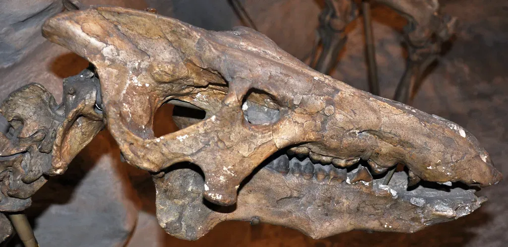 An Omnivore With Dangerous Versatility (Image Credits: Flickr)